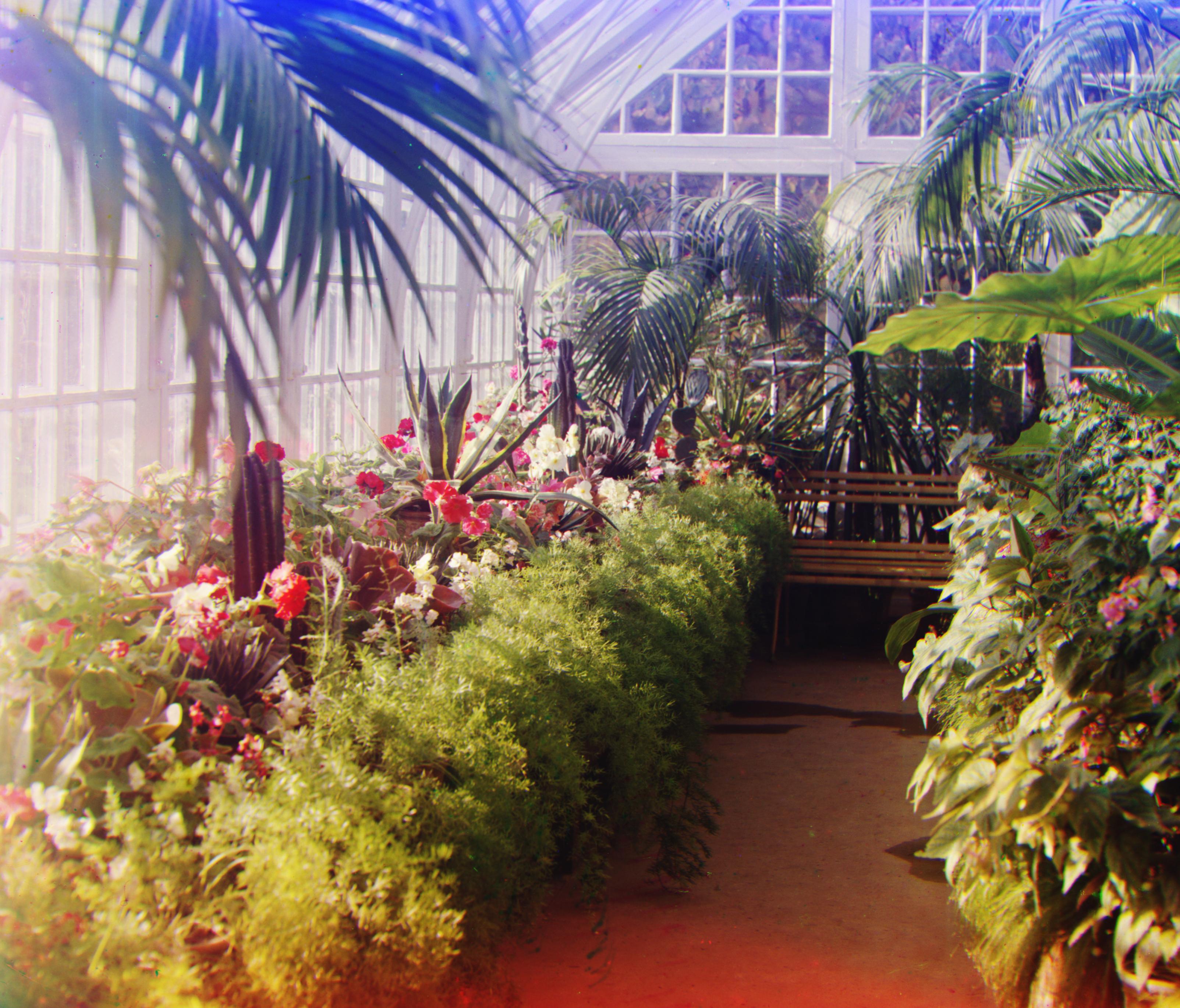 Colorized Conservatory