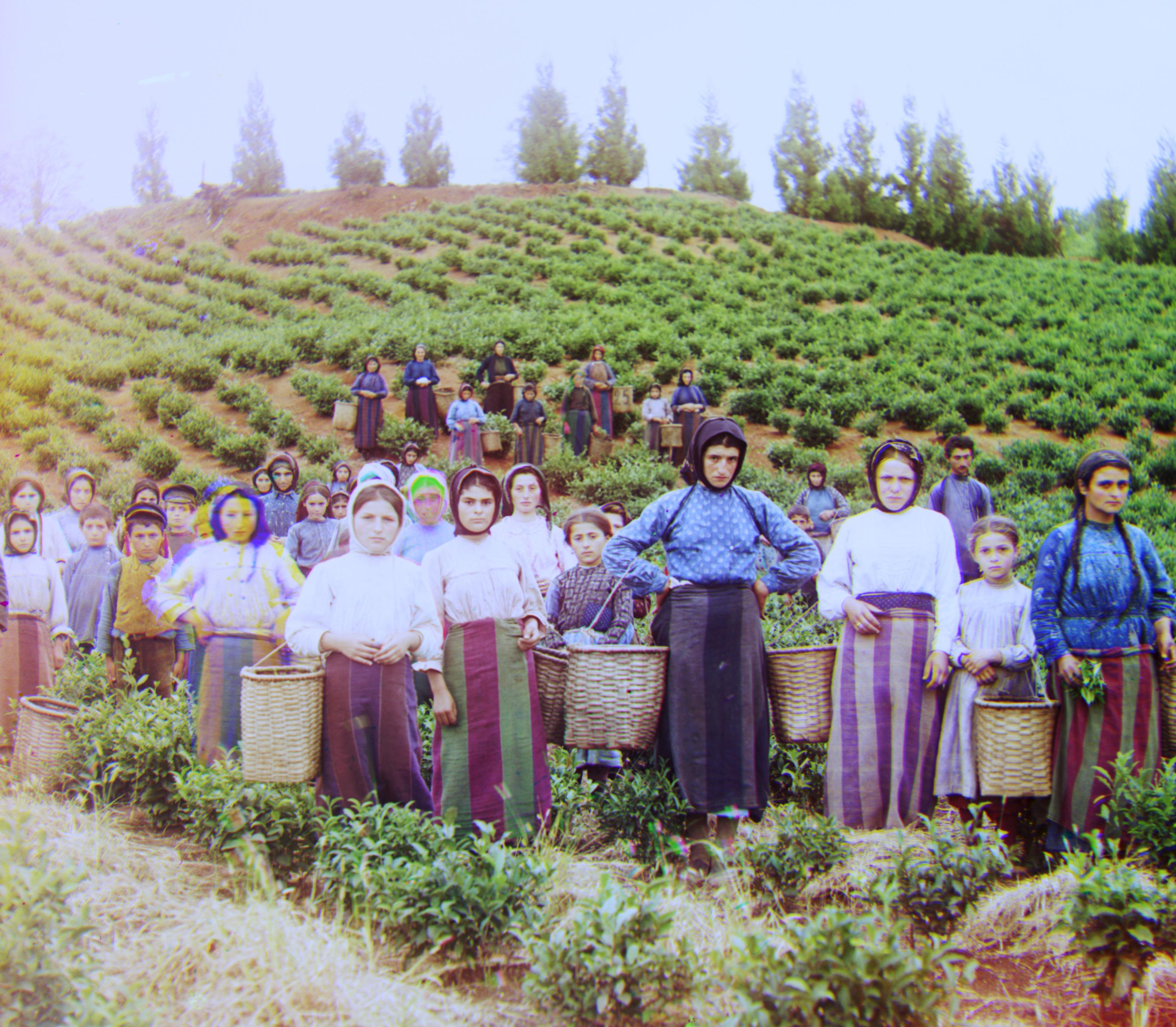 After Harvesters