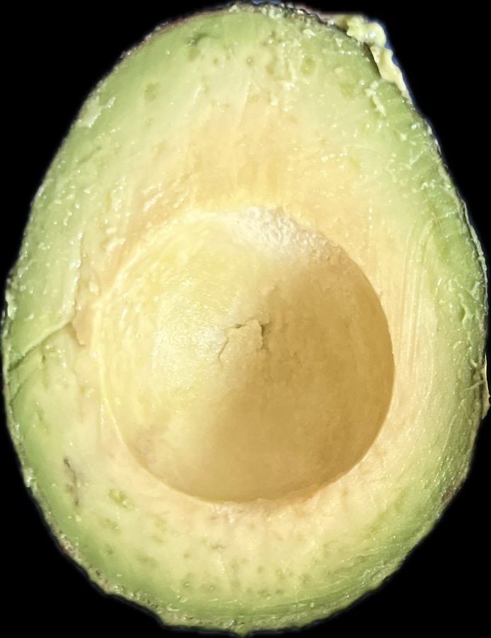 avocado